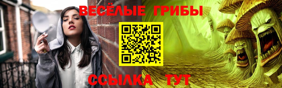 Псилоцибиновые грибы прущие грибы  Вход с VPN  Сунжа  Псилоцибиновые грибы Psilocybe 